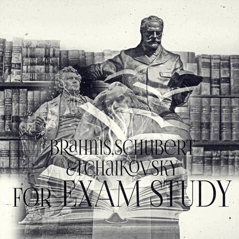 Brahms, Schubert, Tchaikovsky for Exam Study – The Great Brain with Famous Composers, Easy Study, Fast Learning, Increase Brain Power, Improve Concentration, Focus Pills with Music