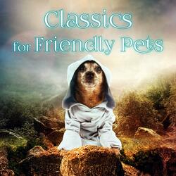Prelude No. 1 (Classics for Friendly Pets)