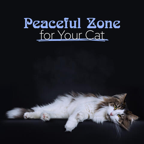 Peaceful Zone for Your Cat
