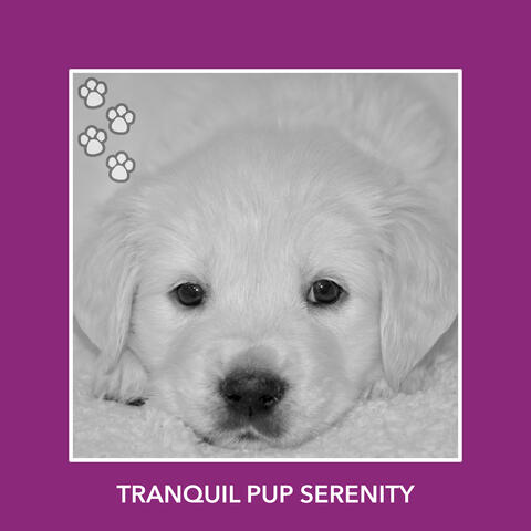 Tranquil Pup Serenity