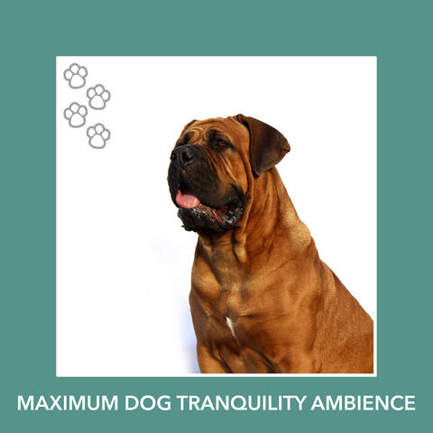 Maximum Dog Tranquility Ambience