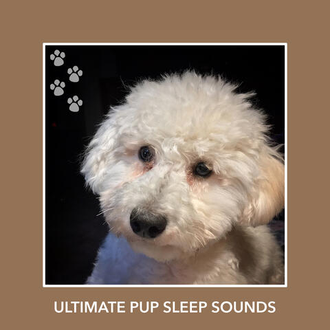 Ultimate Pup Sleep Sounds