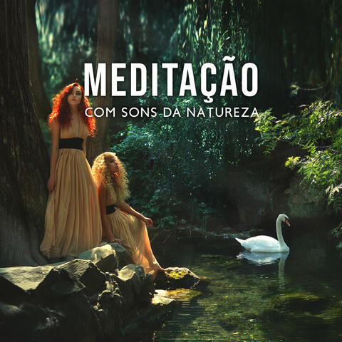 Meditação Com Sons Da Natureza: Sons Suaves Do Oceano, Chuva Relaxante, Pássaros Cantando, Música Para Meditação Profunda 2022