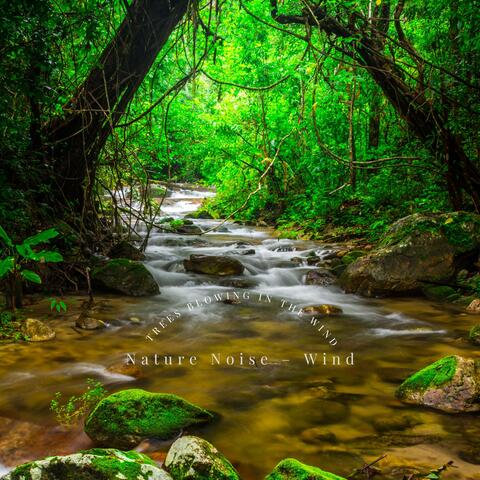 Trees Blowing in the Wind