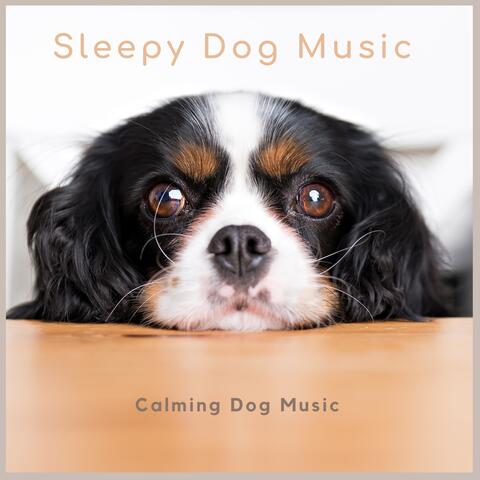 Calming Dog Music