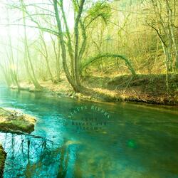 Sounds of the River Flow
