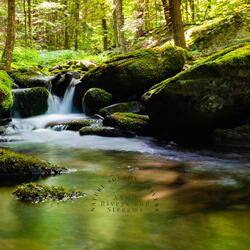 The Gentle Watersound at the Creek