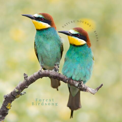Nature Sounds – Birds