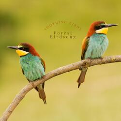 The Tree Birdsong