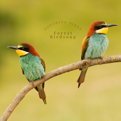 Soothing Birds
