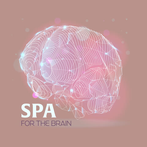Spa for the Brain: Concentration Meditation, Focus Motivation, Office Relaxation Techniques