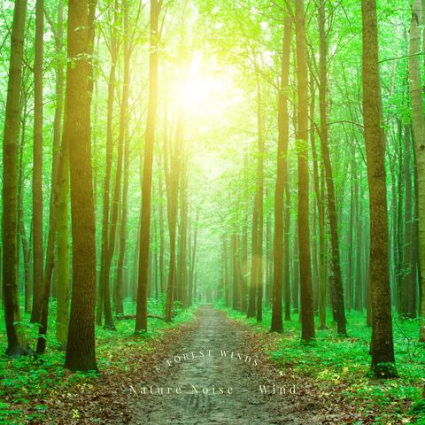 Forest Winds