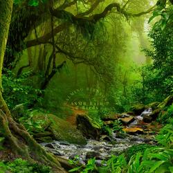 Calming Birdsong, Loopable