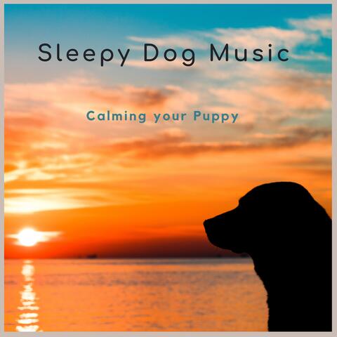 Calming Your Puppy