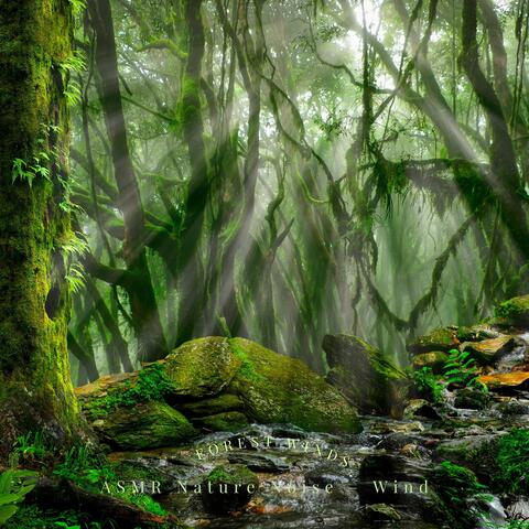 Forest Winds