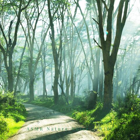 Nature Forest Sounds