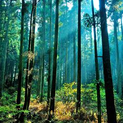 ASMR Feel the Wind on Your Skin