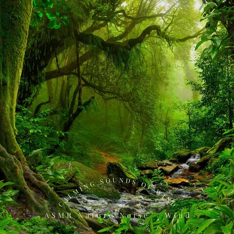 Calming Sounds of Wind