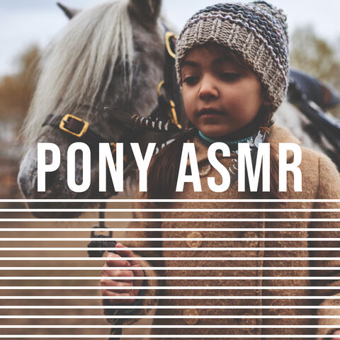 Pony ASMR - Compilation of Relaxing Sounds for Children