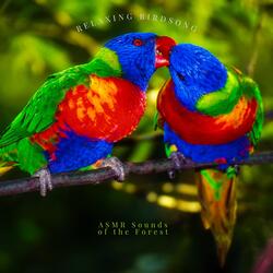 The Evening Bird Song