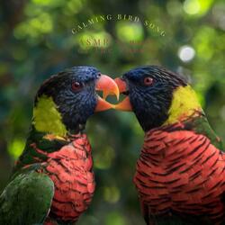 The Smooth Bird Song