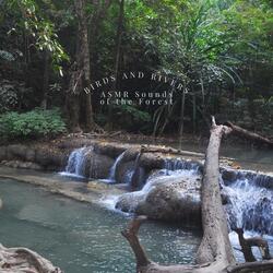 Calming Nature Noise