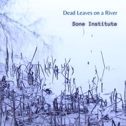 Dead Leaves on a River