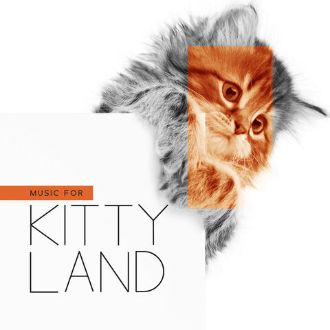 Music for Kittyland: Calming Ambient for Cats with Anxiety