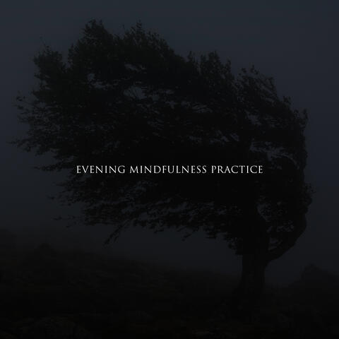 Evening Mindfulness Practice: Windy Meditation for Restful Sleep