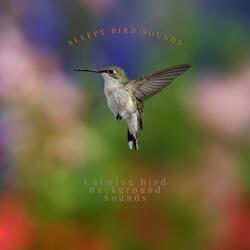 The Calming Bird Song