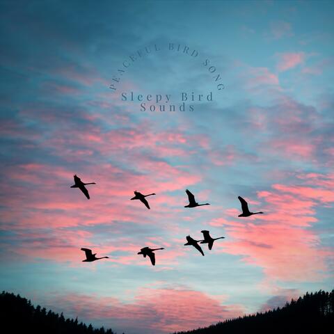 Peaceful Bird Song
