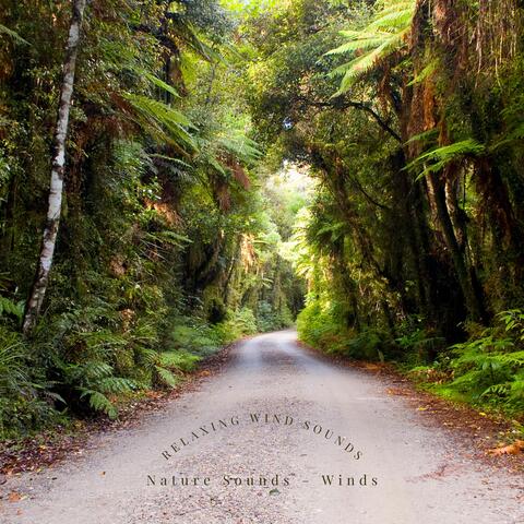 Relaxing Wind Sounds