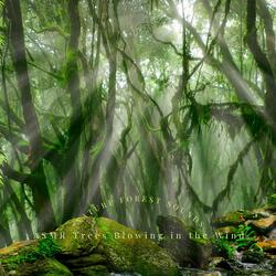 Trees and Winds