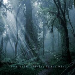 ASMR Blustering Winds
