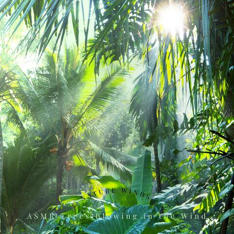 Nature Winds
