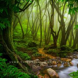 Peaceful Forest
