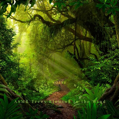 Nature Noise – Wind