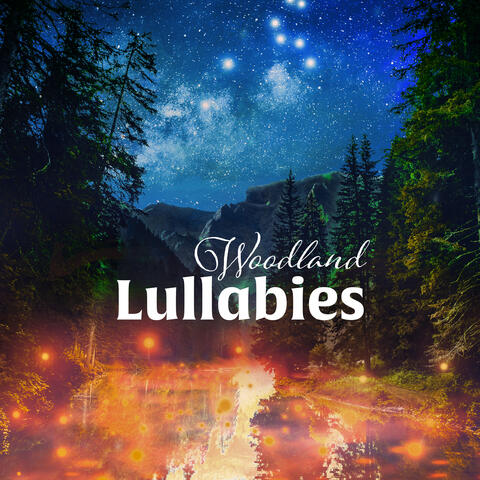 Woodland Lullabies: Magical Ambient for Progressive Relaxation