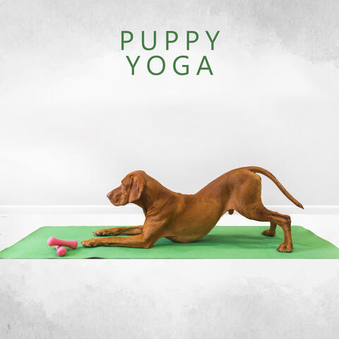 Puppy Yoga