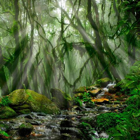 Relaxing Nature Winds