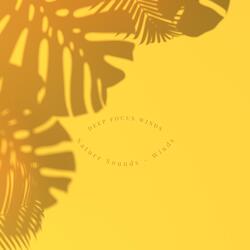 Forest Sounds for Sleeping