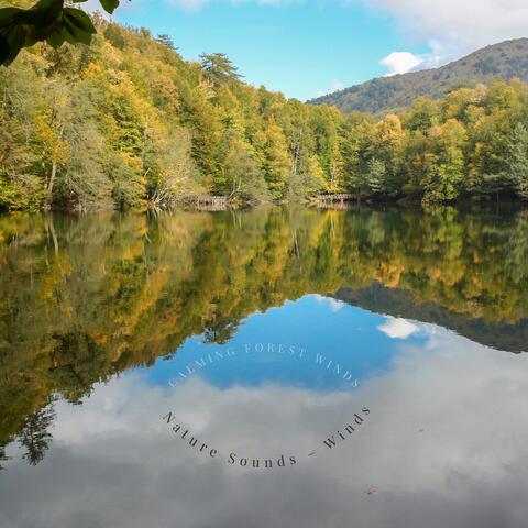 Calming Forest Winds
