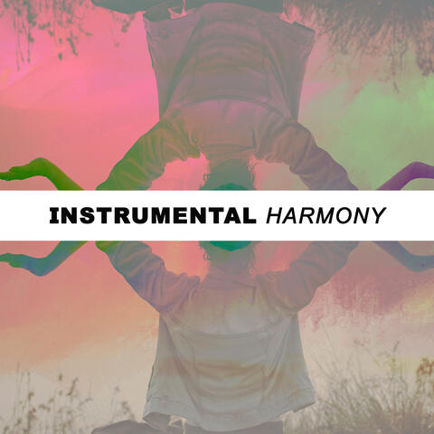 Instrumental Harmony: Relaxation Melodies & Calming Music
