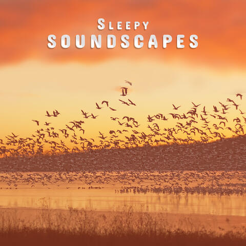 Sleepy Soundscapes: Hypnotic Melodies for Sleep Deprivation