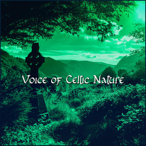 Voice of Celtic Nature: Celtic Meditation and Relaxation, Irish St. Patrick's Day 2022, Soothing Harp, Drums and Flute Melodies, Mother Nature