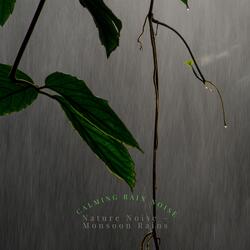 The Sound of Monsoons