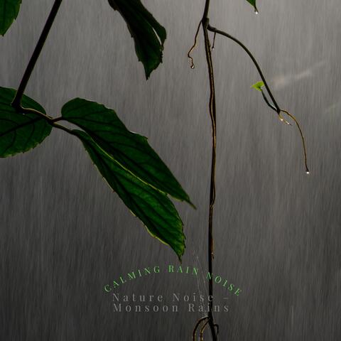 Calming Rain Noise
