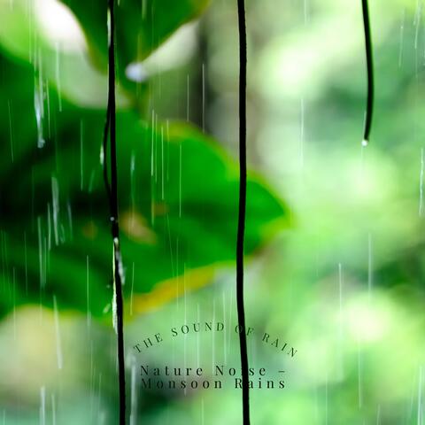The Sound of Rain