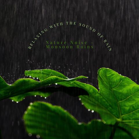 Relaxing with the Sound of Rain