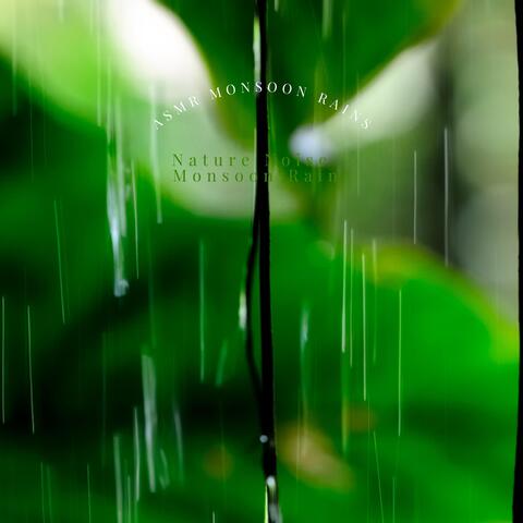 ASMR Monsoon Rains